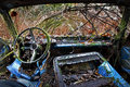 IMG_7457-2.jpg