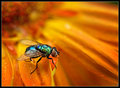 IMG_9947-2.jpg
