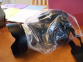 DSCF2377-2.jpg