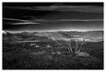 IMG_2540-13.jpg