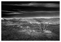 IMG_2540-16.jpg