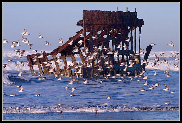 The Sea's Dominion