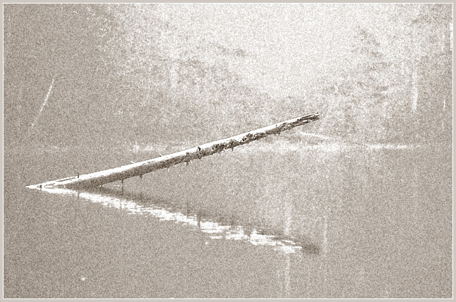 Through the Fog