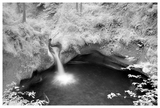 The Purity of Nature