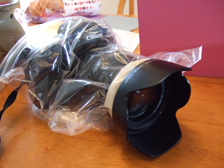 DSCF2380-2.jpg