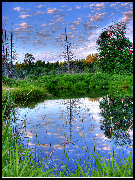 CRW_2524-2.jpg