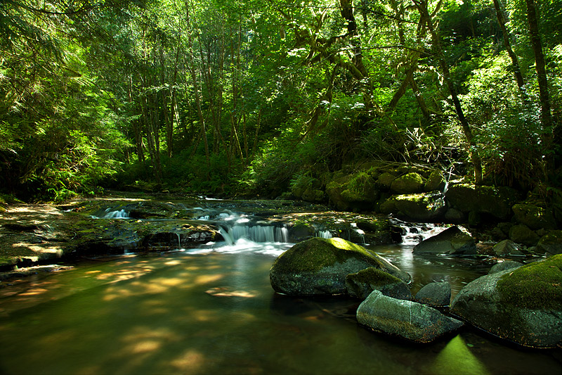 Sweet Creek Falls