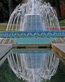 IMG_3627 Reflections Sized.jpg