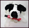 IMG_7141-Dog.jpg