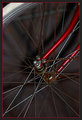 IMG_8027-Bike-Wheel.jpg