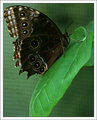 IMG_8782-edited-2.jpg