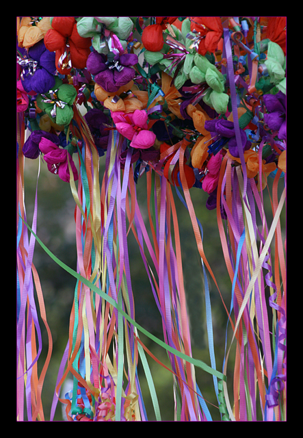 IMG_2802-Fiesta-2008.jpg