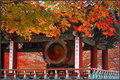 The Buddhist Drum
