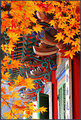 Naejang Temple