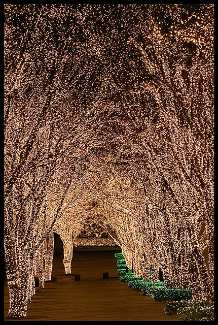Tunnel of Light