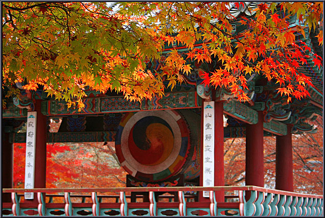 The Buddhist Drum