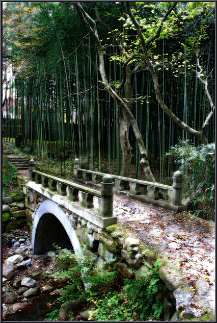 Enchanted Garden