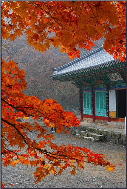 Framed In Orange