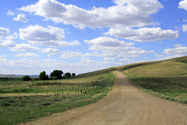 Off the Beaten Path.jpg