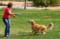 Hunter, at play, 4.jpg