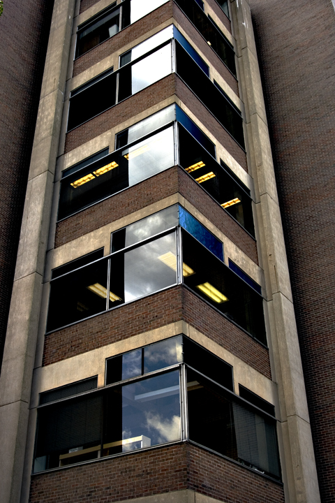 My Architect-Louis Kahn