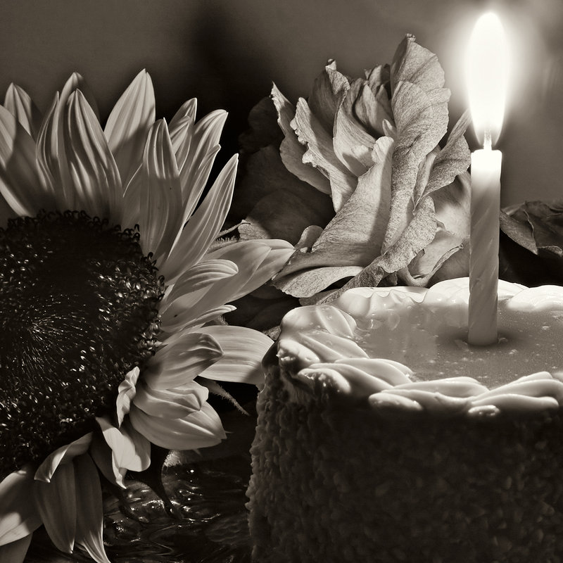 Cake_5479.jpg