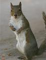 You lookin' at me??.jpg