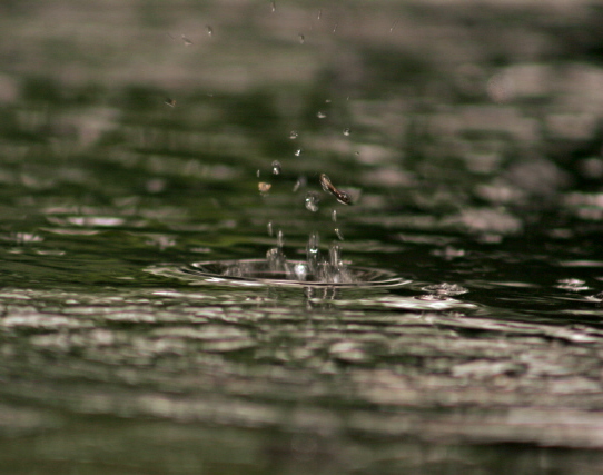 Stop, Drop and Splash