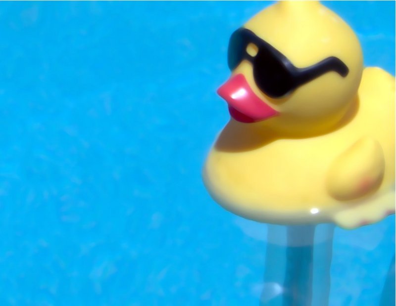 shades.JPG