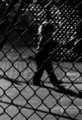 caged in
