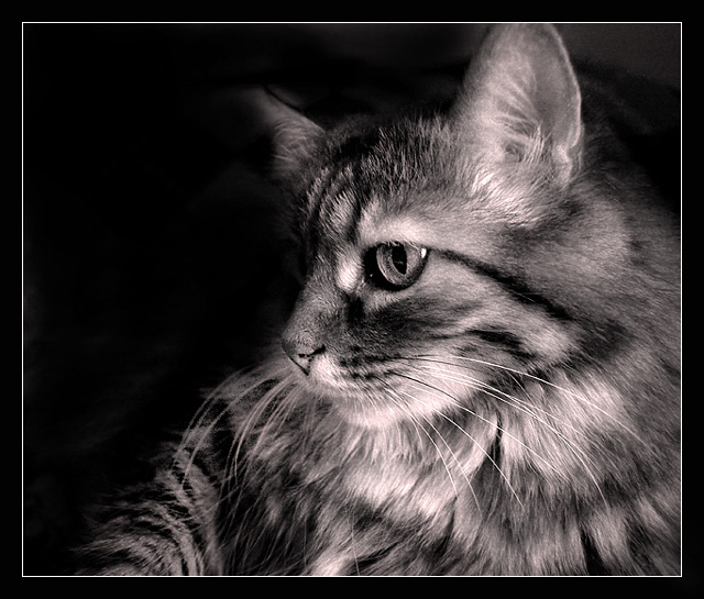 thinking