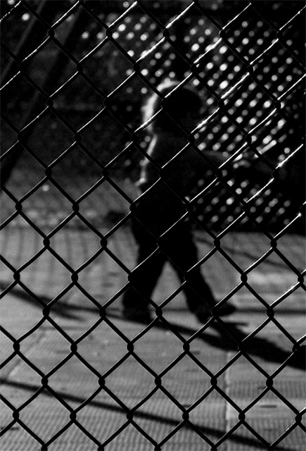 caged in