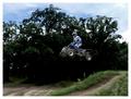 Fly
