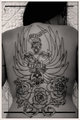 The Back 