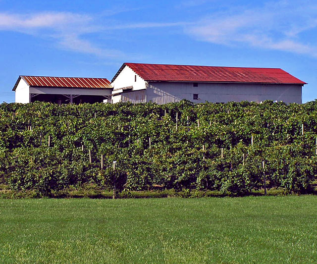Winery