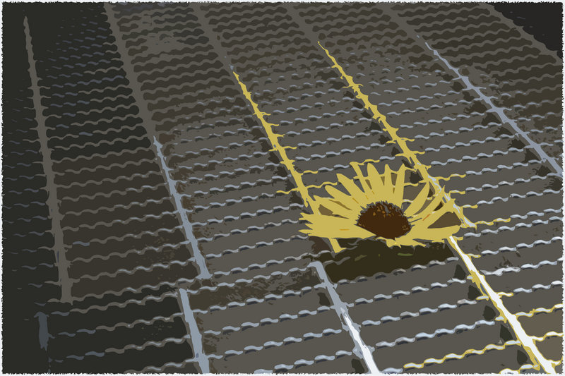Shade Flower
