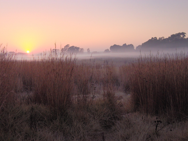 Sunrise 01 copy.jpg