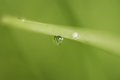 Single Drop on Blade