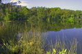 Florida Shoreline