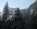Frosty Morning