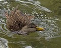 Cooling Off