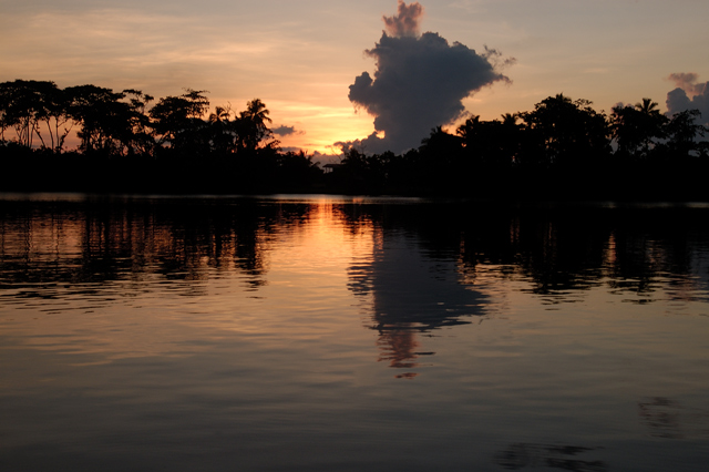 Tortuga Sunrise