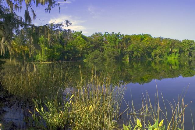 Lake at Leu Gardens
