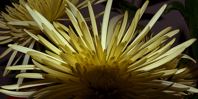 Aglow