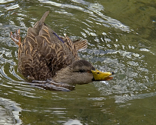 Cooling Off