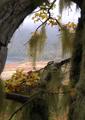 Nature Simple Creation.jpg