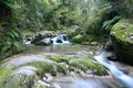 Abel Tasman Forest