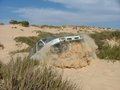 Dune Rover.jpg