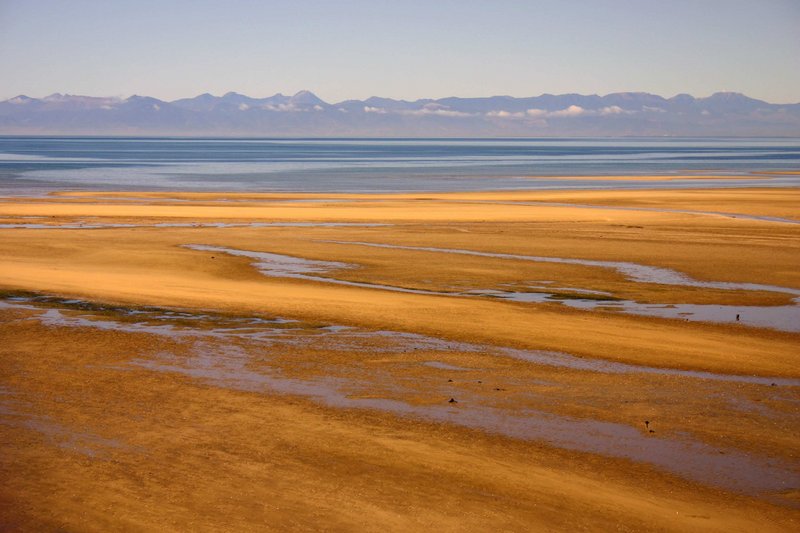 Golden Low Tide.jpg