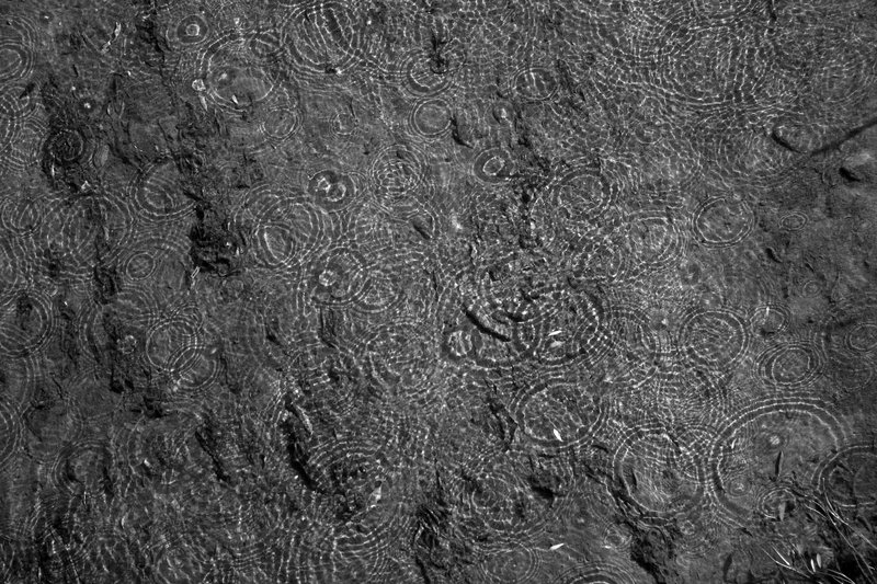 Drops of Rain.jpg